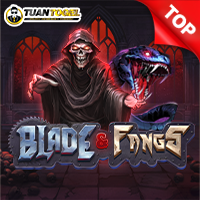 Silverback Multiplier Mountain